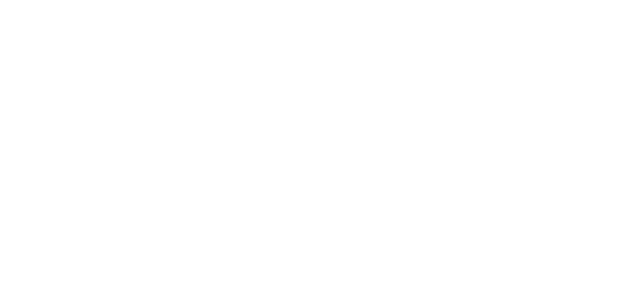 White SS Logo